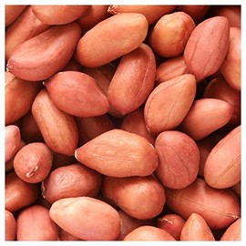 Everwilde Farms – 1 Lb Virginia Jumbo Peanut Seeds - Gold Vault Bulk