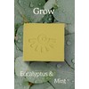 AYEYA Soap Eucalyptus and Mint Shea Butter Bar Soap GROW