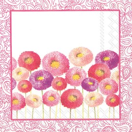 Celebrate the Home Floral 3-Ply Paper Cocktail Napkins, Pretty Bellis Pink, 20-Count