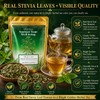 WOTIHA Dried Stevia Leaves, 100% Whole Natural Leaves, Zero Calorie