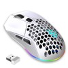 Wireless Mouse 2.4G Or BT5.1 Adjustable DPI Hollowed Out RGB