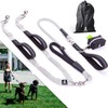 Premium Double Leash for Two Dogs – Shock Absorbing Anti