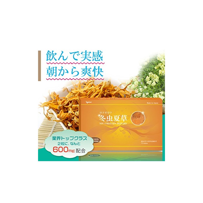 冬虫夏草 3箱 純度100% 国際健康博覧会金賞受賞