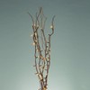 Everlasting Glow 39" H Willow Branch Convertible Home Decor, 39.75InL