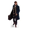 Advanced Graphics Newt Scamander Life Size Cardboard Cutout Standup -