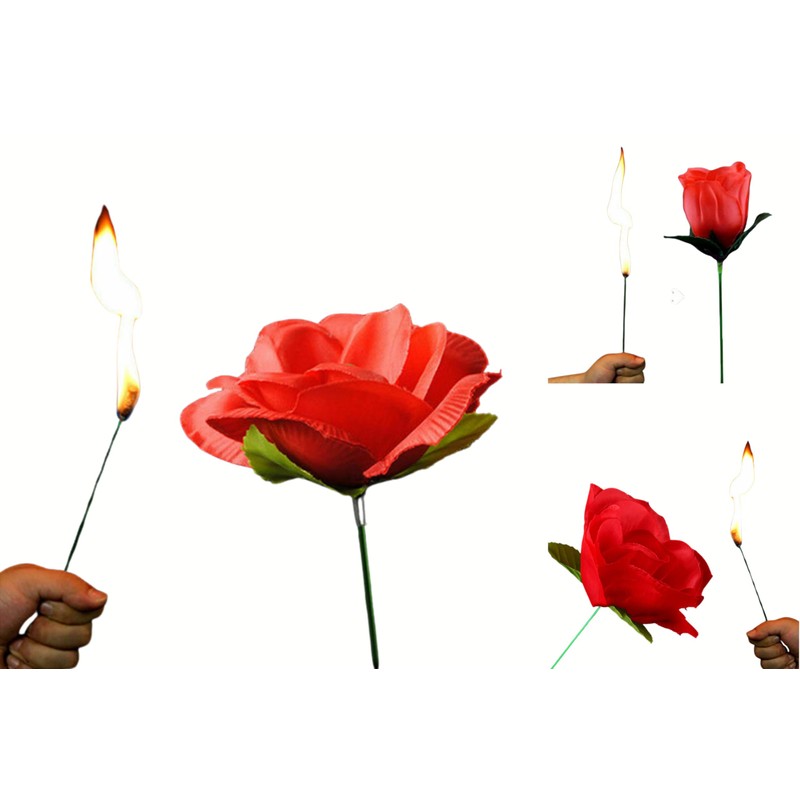Yeahgoshopping The Torch to Rose Magic Trick – A Mesmerizing
