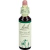 Bach Flower Cent Aury – 20ml