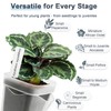 15 Pack 2" Self Watering Pots for Indoor Plants,Mini Clear