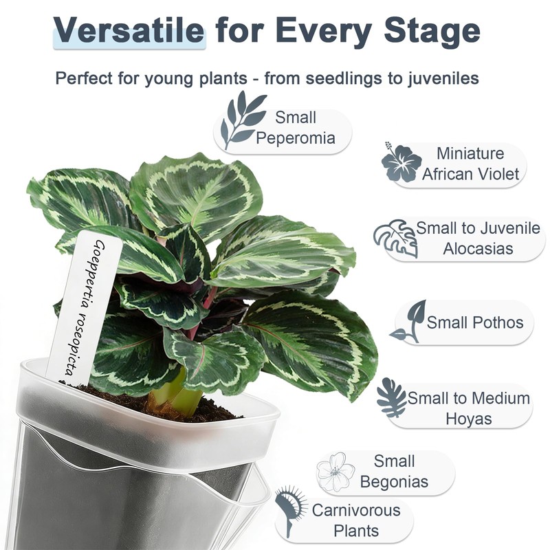 15 Pack 2" Self Watering Pots for Indoor Plants,Mini Clear