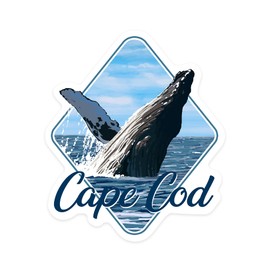 Die Cut Sticker Cape Cod, Massachusetts, Humpback Whale, Contour Vinyl Sticker 3 to 6 inches, (Waterproof Decal for Cars, Water Bottles, Laptops, Coolers), Large