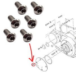 Harley-Davidson Primary Cover Derby Inspection Stainless Hex Bolt Screw Genuine Compatible Dynasoftail Sportster Touring Models FLFXXLH 943/924/941 1/4-20x5/8 (6 x Stainless Material)