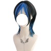 Wig, Wig, Wolf Cut, Layer, Beautiful Man, Harajuku, Two-tone, Cyberpunk,
