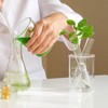 Garneck 4 Pcs Test Tube Hydroponics Vases Test Tube Vase