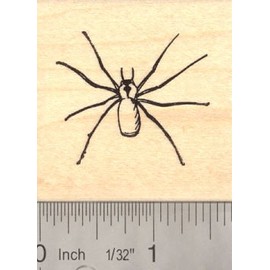 Brown Recluse Spider Rubber Stamp