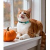Joytale Upgraded Cat Collar with Bells, Breakaway Cat Collars with