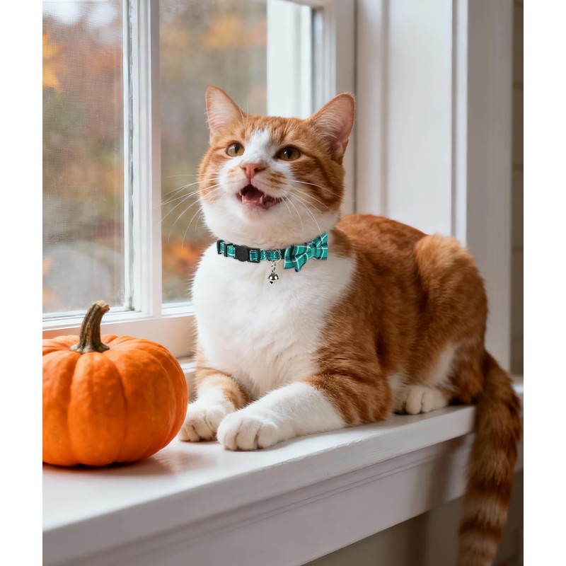 Joytale Upgraded Cat Collar with Bells, Breakaway Cat Collars with
