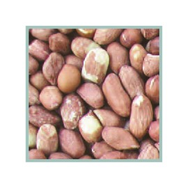 Cole's RP05 Raw Peanut Bird Food, 5-Pound