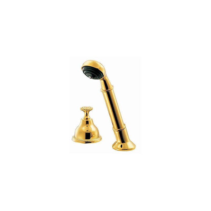 Pegasus A663450PBV 5000 Series Hand Shower with Diverter, Polished Brass