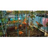 5QT Organic Perlite Horticultural Soil Amendment for Plants and Enhanced
