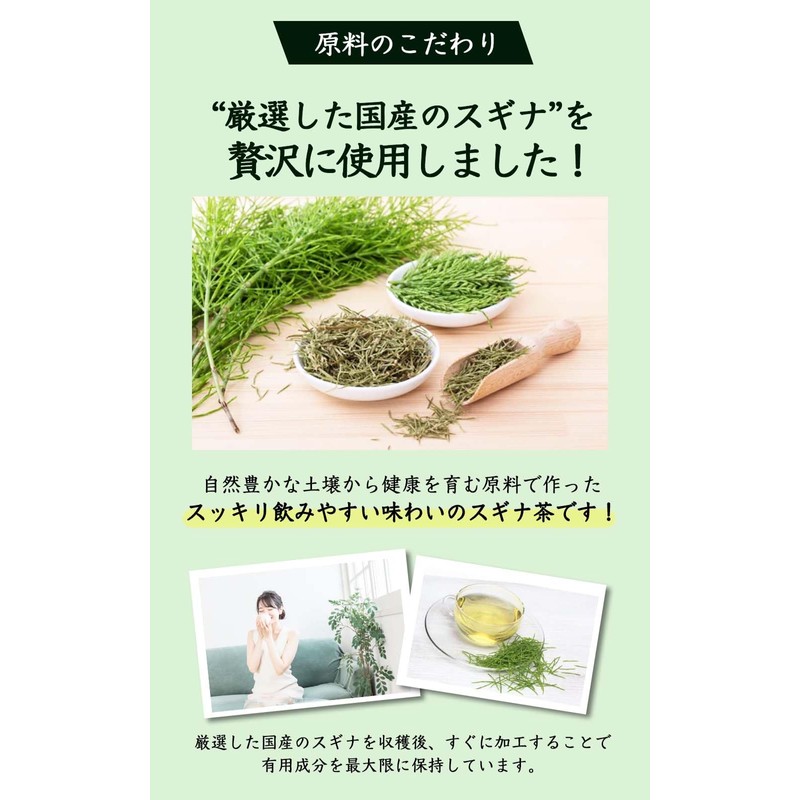 Natural Feast Horsetail Tea Bag Made in Japan Cedar Green
