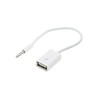 adaptare 14030 10 cm Aux-In-Kabel 3,5-mm-Klinke-Stecker auf USB 2.0-Buchse Typ
