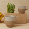 notNeutral Pico Large Latte Cup with Saucer, Natural 12 oz
