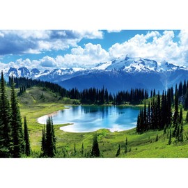 Lake Snow Mountain Pine Forest Backdrop 5x3ft Spring Background