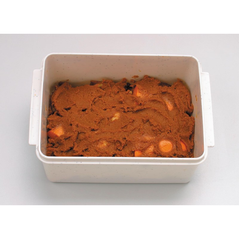 Skater MTH1 Marinated Bran Container, Made in Japan, Includes Water