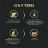 Purina Pro Plan LiveClear Dry Cat Food for Kittens Cat