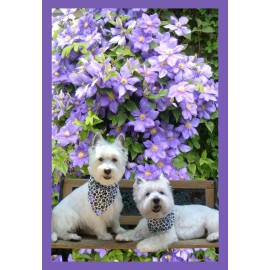 WESTIE BLOSSOMS GARDEN FLAG FREE SHIP USA