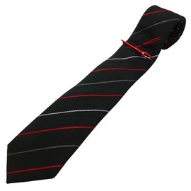 [SWANK] eva-2021-tie01 Evangelion Longinus Spear Red Tie Clip Tie Set, Black