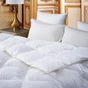 Premium All-Season Twin Size Luxury Siberian Goose Down Comforter Duvet
