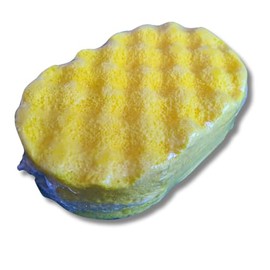 Soap Filled Exfoliating Sponge (Adorable)