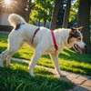 EXCELLENT ELITE SPANKER No Pull Dog Harness Reflective Nylon Vest