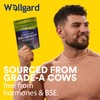 Wellgard Wellgard Pure Colostrum Powder, High Levels of Immunoglobulin G