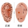 Wefitfix Ear Point Model 3.9 inches (10 cm), Set of