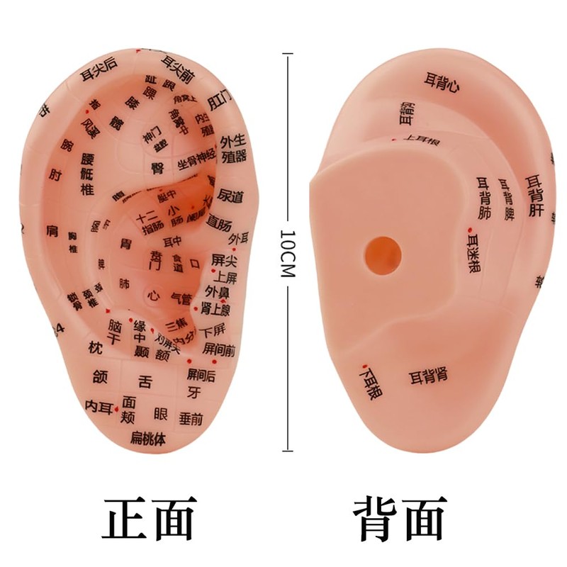 Wefitfix Ear Point Model 3.9 inches (10 cm), Set of