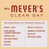 MRS. MEYER'S Mrs. Meyer's Clean Day Liquid Hand Soap, Cruelty