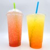 Loaded Tea Beverage Single Pack Sampler Mix Multi Flavor Packs
