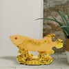 GANAZONO Feng Shui Wealth Arowana Fish Lucky Fish Statue Figurine