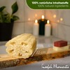 Loofah Moments Loofah Sponge | Your Bath Sponge for Healthy