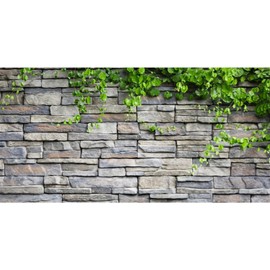 AWERT Vinyl 72x24 inches Stone Brick Wall Aquarium Background Rock Fish Tank Background Spring Leaves Terrarium Background