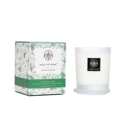 Aquiesse Monterey Pine Scented Large Candle, 10 oz