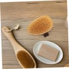 Gatuida Ergonomic Back Exfoliating Brush with Natural Bristles Nonslip Handle