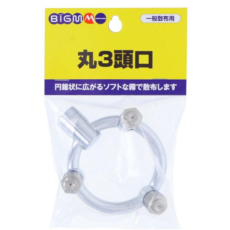 BIGM 637749 Round 3 Head