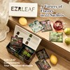 EZR Leaf Caffeine-Free Tea Assortment Box 22CT, Presentation Sampler, Gift