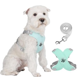 FEimaX Dog Harness Pet X Frame No Pull Step-in Harnesses with Leash Set, Adjustable Reflective Choke Free Puppy with Padded Vest for Small, Medium Dogs and Cats Walking Training
