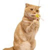 Petz Route Cat Toy, Paper Twine, Medium Size