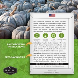 Blue Jarrahdale Pumpkin Seeds for Planting - 2 Packets with Instructions to Plant & Grow Decorative and Flavorful Blue Pumpkins in Your Home Garden - Non-GMO Heirloom Variety - Survival Garden Seeds