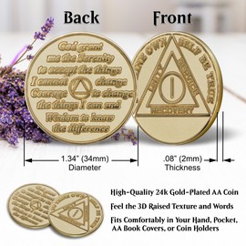 1 Year Sobriety Coin Gold Plated AA Chip Medallion Alcoholics Anonymous Sober Anniversary Recovery Token with Serenity Prayer